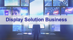 Display Solution Business